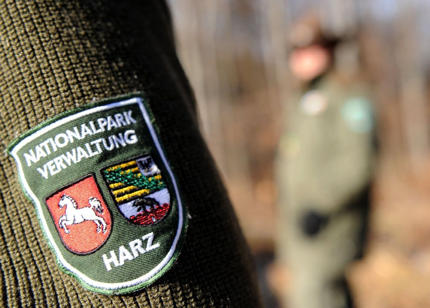 Ein Ranger trägt das Abzeichen der Nationalpark-Verwaltung Harz mit den Wappen von Niedersachsen und Sachsen-Anhalt im