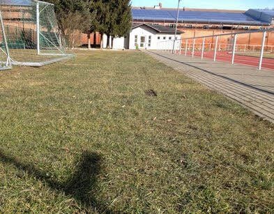 Reifenspuren auf dem Rasen: Die Täter befuhren das Sportplatzgelände mit einem größeren Fahrzeug, vermutlich einem Transporter.