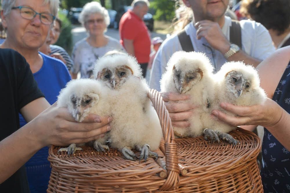 Der Eulennachwuchs des Jahrgangs 2018.