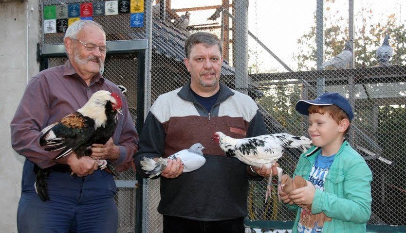 Mit Opa Klaus-Dieter Lettner, Vater Stephan Haftendorn und dessen Sohn Eric gibt es drei Generationen von Rassegeflügelzüchtern in der Familie.