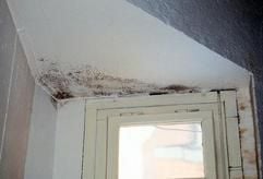 Wie gesehen, so genommen: Bereits bei der Besichtigung sollten sich Mietinteressenten den Zustand einer Wohnung genau ansehen und alle Mängel reklamieren. (Foto: dpa)