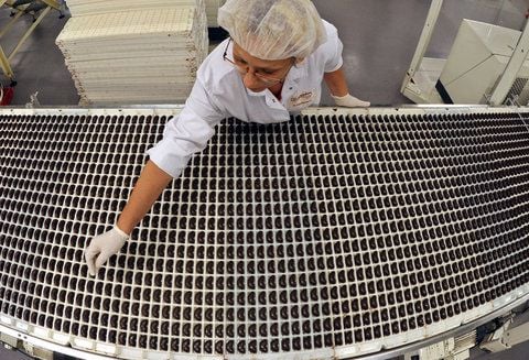 Eine Mitarbeiterin der Delitzscher Schokoladenfabrik GmbH kontrolliert an einer Fertigungslinie die Qualität von Weinbrandbohnen. (FOTO: DPA)