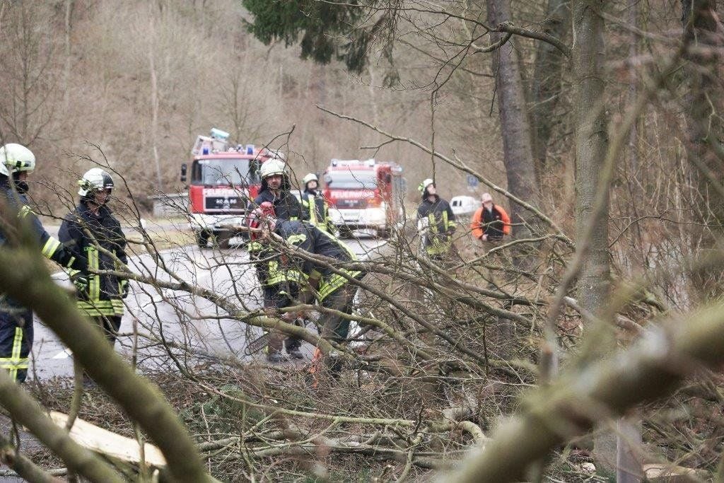Ein umgestürzter Baum hat in Harzgerode einen Feuerwehreinsatz ausgelöst.