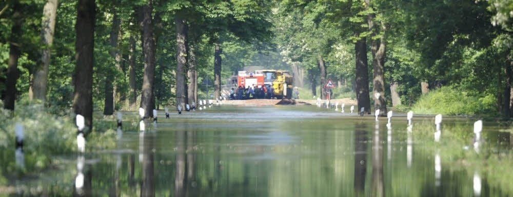 Die Landstraße zwischen Großkühnau und Aken steht unter Wasser.