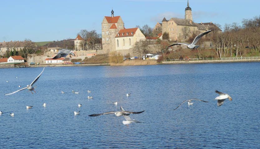 Die Idylle trügt: Der Süße See ist zum Zankapfel geworden.