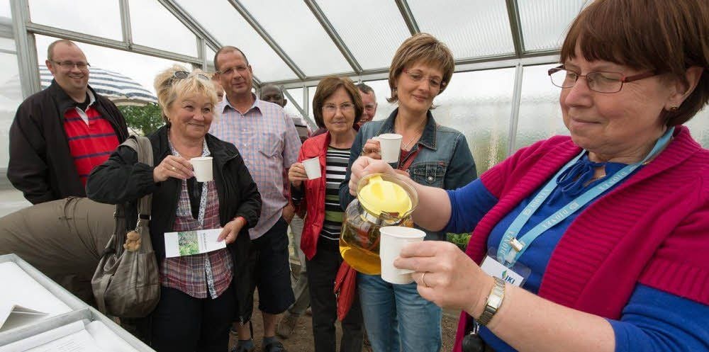 Wie gut Tee aus Kräutern schmeckt, zeigte Christine Langanke (r.) den Besuchern.