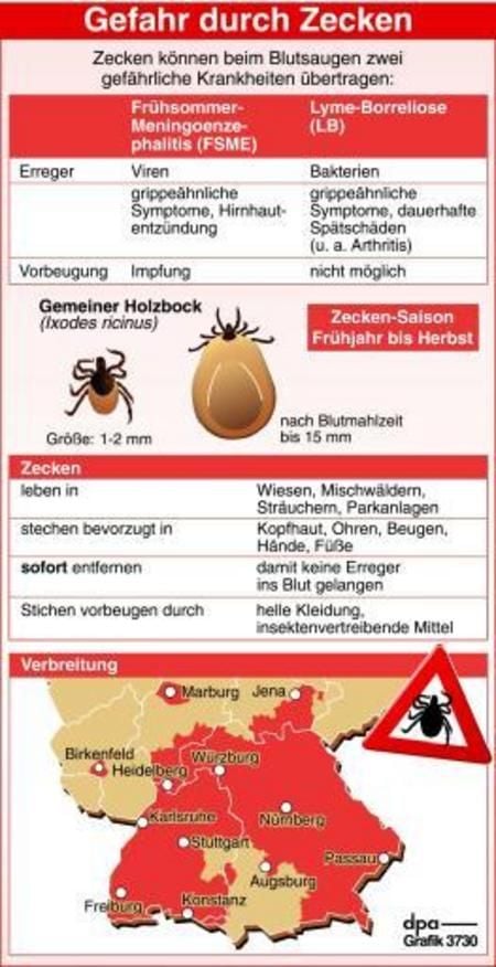 Zecken-Risikogebiete in Deutschland (Grafik: dpa)