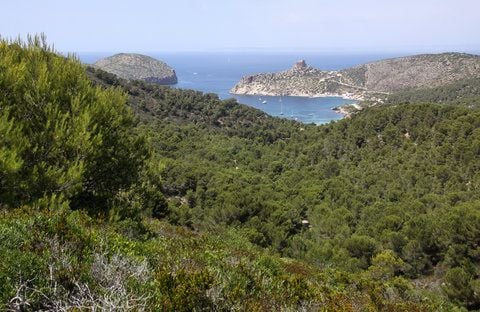 Viel Gestein, viel Natur und kaum Touristen - die spanische Insel Cabrera ist noch ein kleiner Geheimtipp für Ausflügler. (FOTO: DPA)