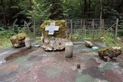 Das Denkmal am Ort des Attentats vom 20. Juli 1944 erinnert in der früheren Wolfsschanze von Rastenburg an eine unheilvolle Zeit (Foto: dpa)