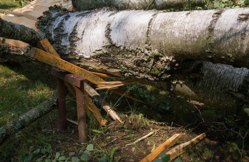 Die umgestürzten Bäume haben etliche Sitzbänke zertrümmert.
