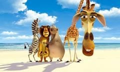 (l-r) Marty das Zebra, Alex der Löwe, Gloria das Nilpferd und Melman die Giraffe, die Hauptfiguren des neuen Dream Works Animationsfilms «Madagascar», stehen auf dem Strand einer einsamen Insel. Wie würde ein New Yorker auf einer einsamen Insel reagieren? Statt Menschen schicken die Trickfilm-Macher Zootiere auf die Insel, die bis dato ein unbeschwertes und von der Natur entferntes Leben im Central Park Zoo Manhattans geführt hatten und eines Abends ausbüchsen. Madagascar kommt am 14.07.2005 in die deutschen Kinos. (Foto: dpa)