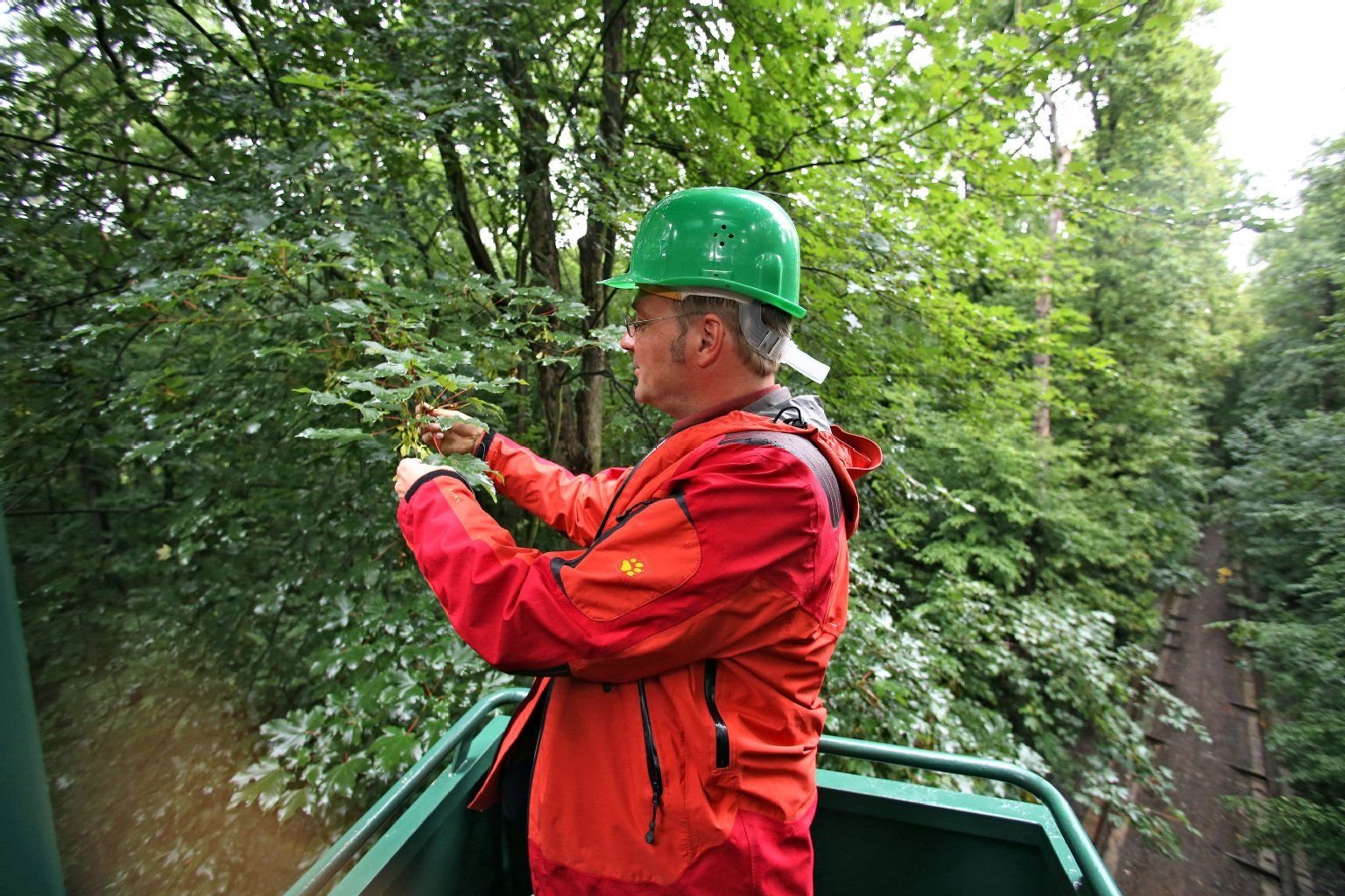 Christian Wirth, Direktor des Deutschen Zentrum für Biodiversitätsforschung (iDiv) Halle-Jena-Leipzig, betrachtet von einer Gondel an einem Kran aus den Auwald in Leipzig