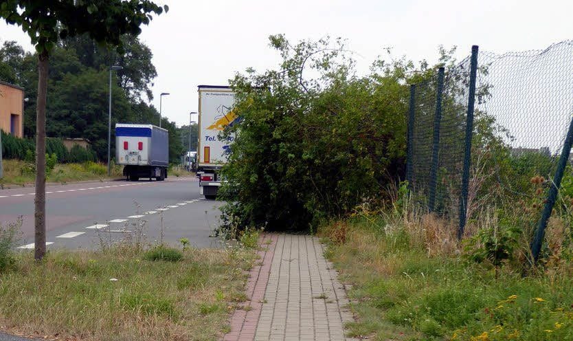 In der Walter-Kersten-Straße in Aschersleben ist auf dem Fußweg kein Durchkommen mehr. Das soll sich nun ändern.