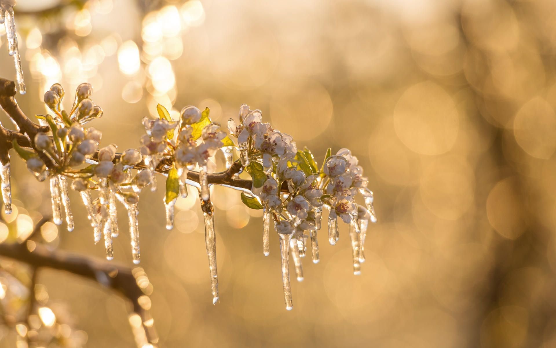 Bald vertreibt der Frühling das Eis und die Kälte.