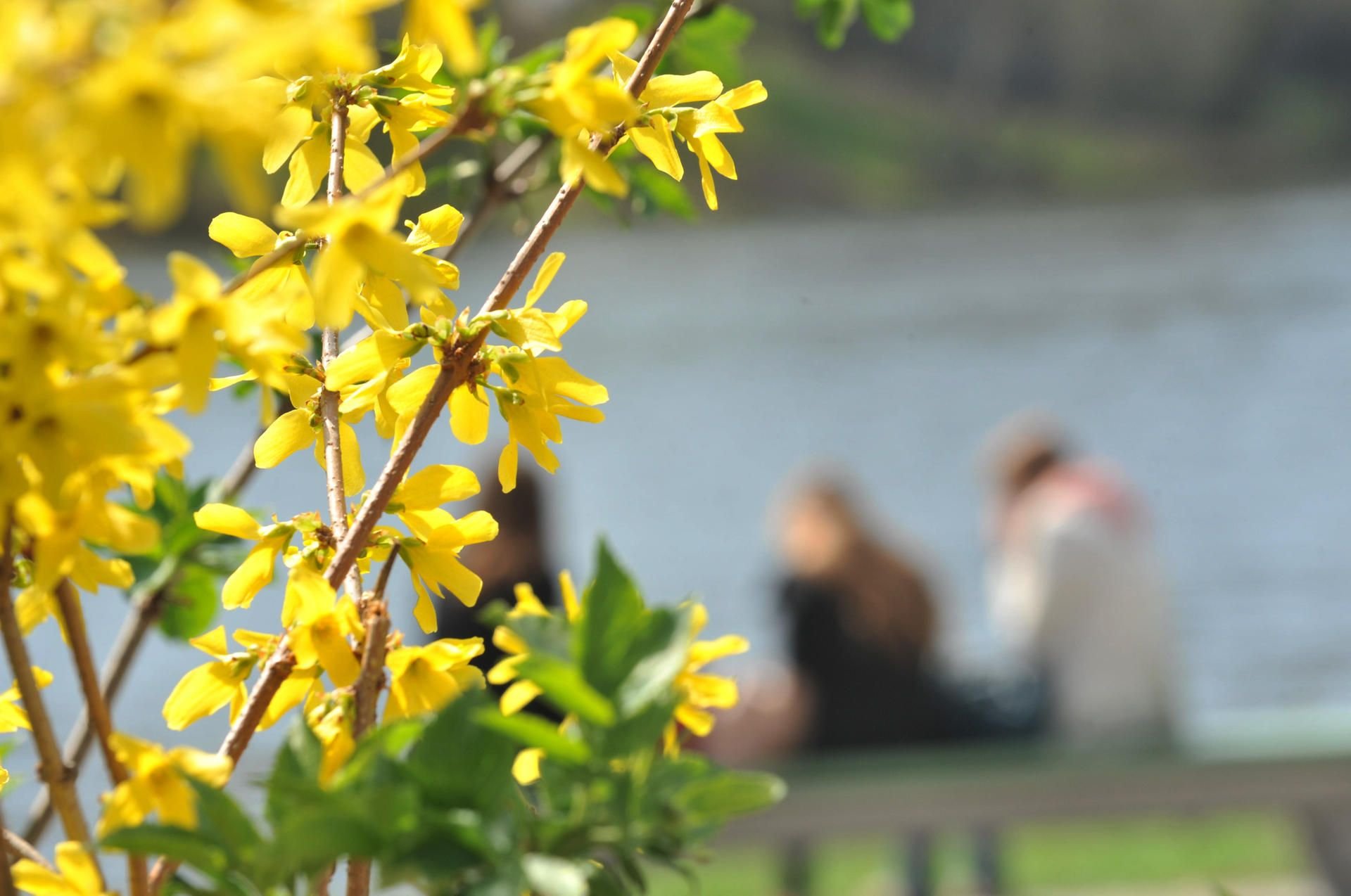 Nach dem kräftigen Frost zum Winterende dürften viele schon sehnsüchtig auf den Frühling warten. Denn jetzt wird es endlich wärmer.