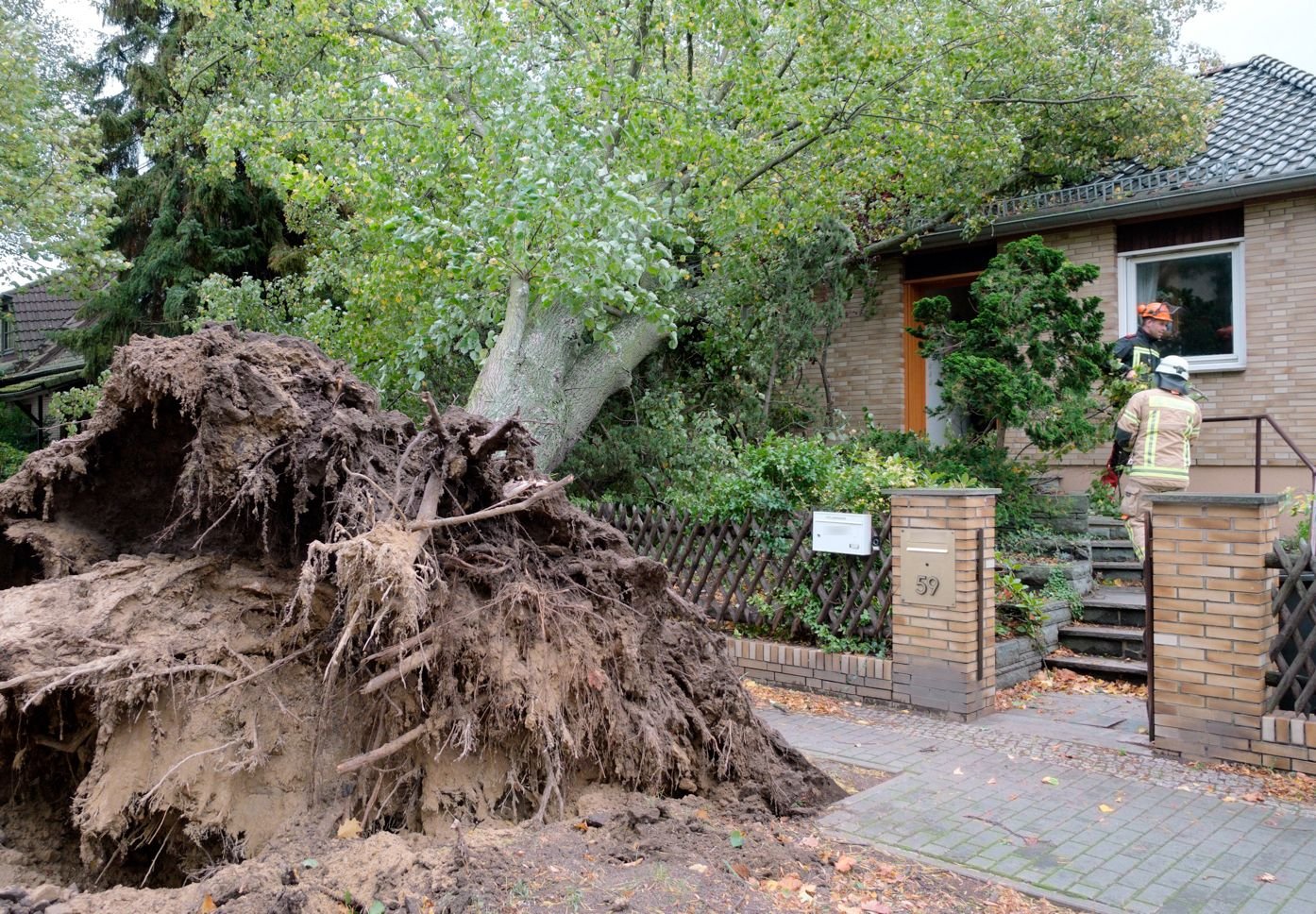 Ein umgekippter Baum liegt am 05.10.2017 auf einem Haus in Berlin-Heiligensee.