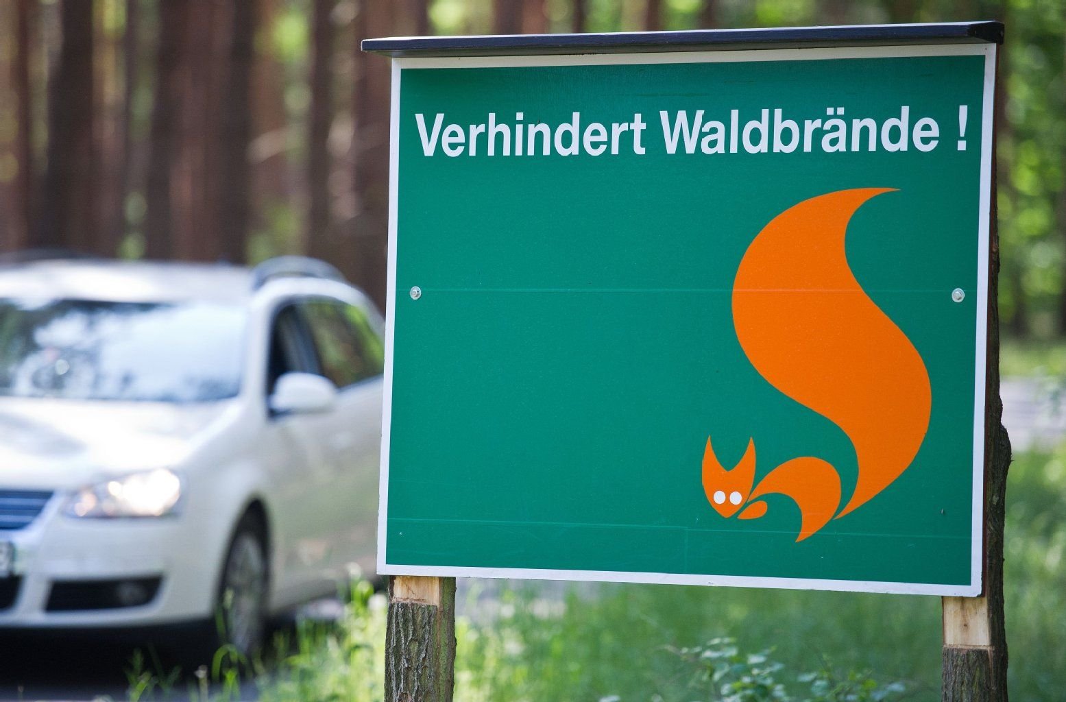 Ein Hinweisschild mit der Aufschrift «Verhindert Waldbrände!» in einem Waldgebiet. In weiten Teilen des Landes gilt die Waldbrandstufe vier.