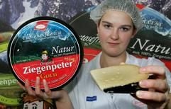 Caroline May, Mitarbeiterin der Börde Käse GmbH in Vahldorf (Ohrekreis) hält einen großen Käse der Sorte «Ziegenpeter» in ihrer Hand, aus dem Portionen gefertigt werden. (Foto: dpa)