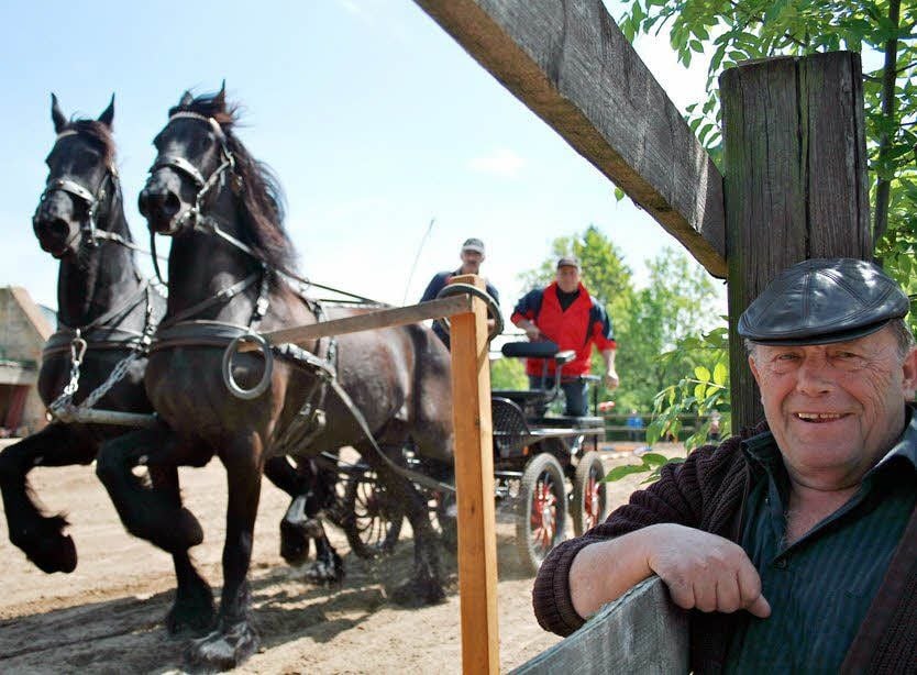 Besucher Robert Schwacha (62) schaut beim Geschicklichkeitsfahren zu. Heiko Fuchs und sein Beifahrer Jürgen Stephan sind mit dem Friesen-Zweispänner aus Güsten unterwegs.