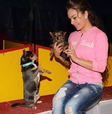 Scarlett trainiert mit ihren Hunden.