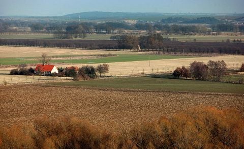 Blick in das Oderbruch auf einen einzelnen Bauernhof unweit von Podelzig (Märkisch-Oderland). (ARCHIVFOTO: DPA)
