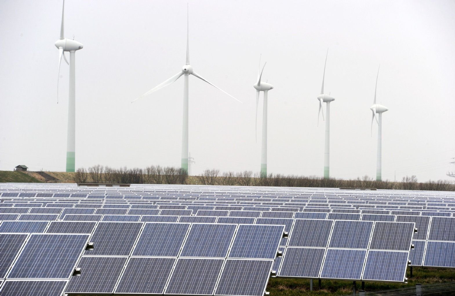 Solarmodule in einem Solarpark, dahinter sind Windkraftanlagen zu sehen.