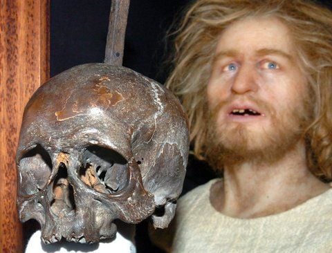 Über ein Jahr nach dem Diebstahl ist der dem legendären Piraten Klaus Störtebeker zugeschriebene Schädel sicher gestellt worden. (FOTO: DPA/ARCHIV)