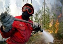 Wälder stehen in Flammen, ganzeLandstriche sind in Rauchwolken gehüllt, unter Dorfbewohnernherrscht Panik. In Portugal stehen zwei Jahre nach dem größtenFlammeninferno in der Geschichte des Landes wieder größereWaldflächen in Brand. (Foto: dpa)