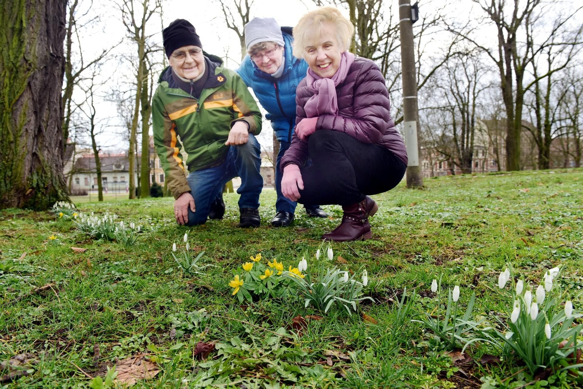 Eberhard Bader pflanzt seit sieben Jahren Mitte April Schneeglöckchen in Sangerhausen. So soll es auch in diesem Jahr sein. Helfen werden dabei Elvira Herrmann (rechts) und Thea Siebenhüner.