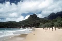 Der Strand an der Ramsay Bay. (Foto: dpa)