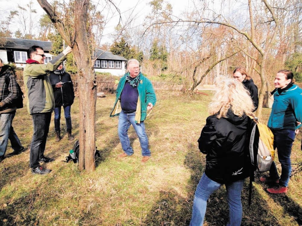 So geht’s richtig: Dreistündiger Workshop zum Obstbaumschnitt im Umweltzentrum Franzigmark