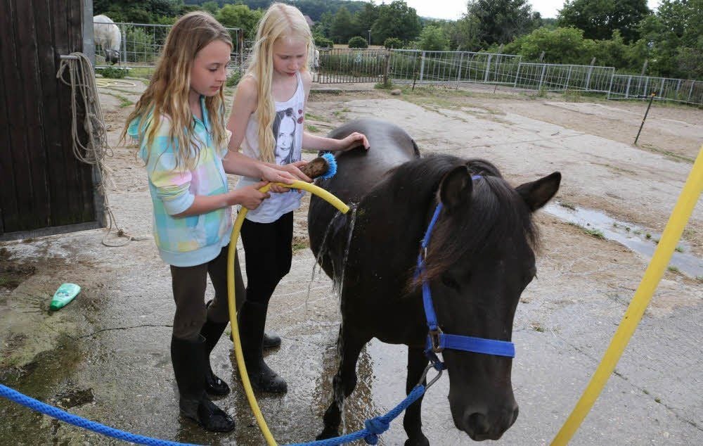 Erst haben sie sich selbst abgekühlt, jetzt geben Amy (links) und Jessica dem Pony Nelly mit dem Schlauch eine Dusche.