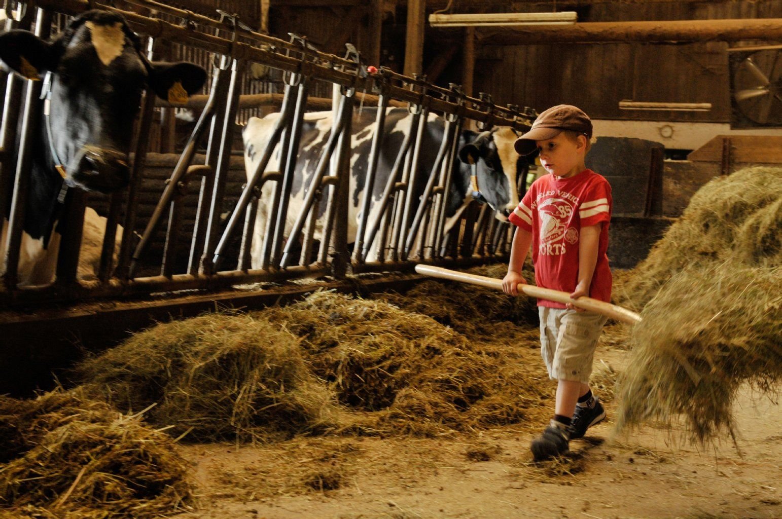 Sich ein bisschen wie echte Bauern fühlen - das können Kinder auf dem Oberen Rechtgrabenhof im Schwarzwald.