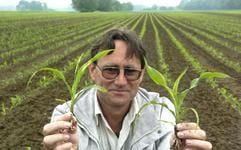 Der Dipl.-Agraringenieur Norbert Kuhlmann zeigt am Freitag (04.06.2004) auf einem Ackerstück der Landesanstalt für Landwirtschaft und Gartenbau Iden in der Altmark, auf dem zu Forschungszwecken genbehandelter und konventioneller Mais nebeneinander angebaut sind, je eine Pflanze davon (rechts die genbehandelte). (Foto: dpa)