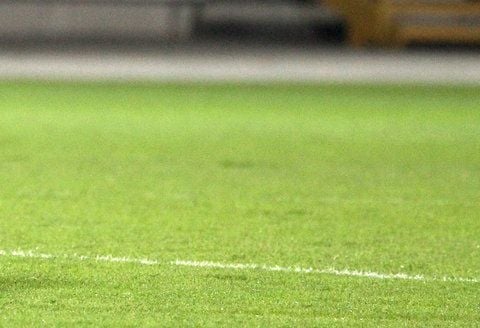 Der Rasen auf einem Fußball-Feld. (FOTO: DPA)