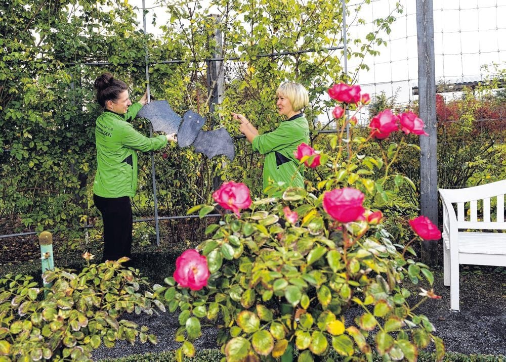 Janett Koch und Susanne Knauth von der Rosenstadt GmbH dekorieren das Sangerhäuser Rosarium für den Saisonabschluss.
