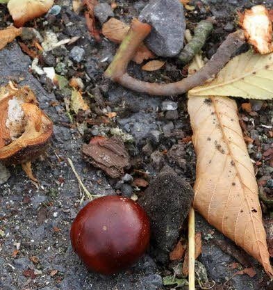 Die letzten Überbleibsel…