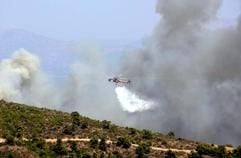 Ein Lösch-Hubschrauber kippt eine große Menge Wasser auf eine nach dem, Absturz der A Boeing 737 brennenden Fläche nahe Athen. (Foto: dpa)