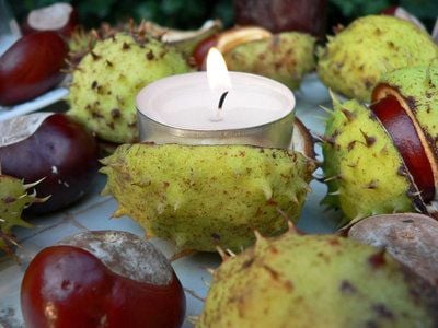 Kastanien sind eine klassische Herbst-Dekoration - und ihre Schalen ungewöhnliche Kerzenständer. (Foto: dpa)