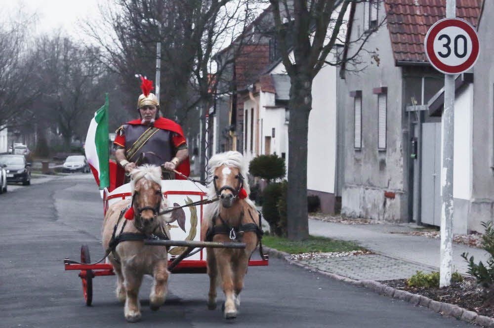 Hans-Joachim Bach ist Ben Hur. Das Gespann schafft bis zu 40 Kilometer pro Stunde.