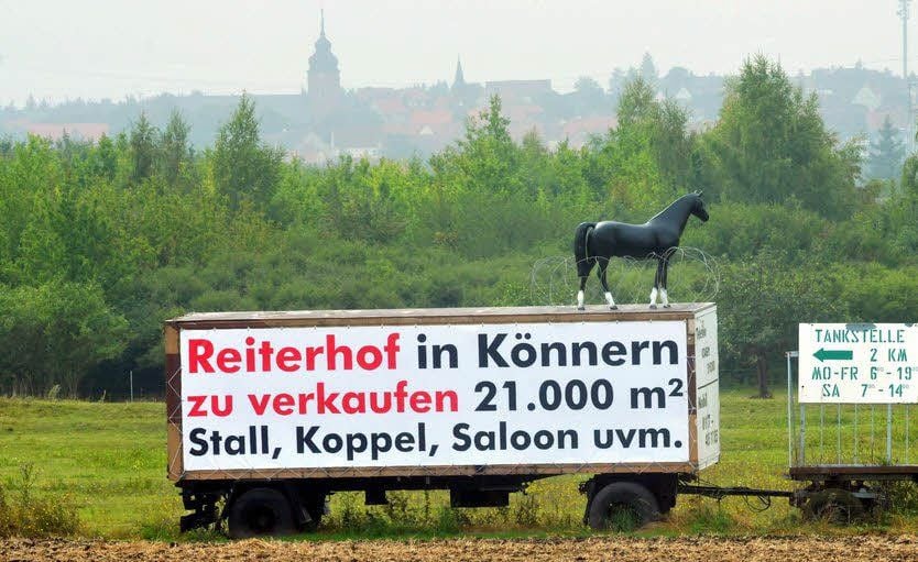 Das Pferd auf dem Anhänger ist ein echter Hingucker.