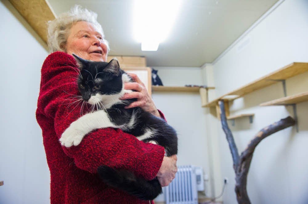 Helferin Hildegard Bretnitz und ein Kater im Tierheim „Felidae“, das 27.000 Euro aus dem Erbe erhält.