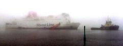 Die Stena Nautica liegt im nebeligen Hafen von Varberg, Schweden. Am Montag, 16. Februar 2004 kollidierte die Fähre. (Foto: dpa)