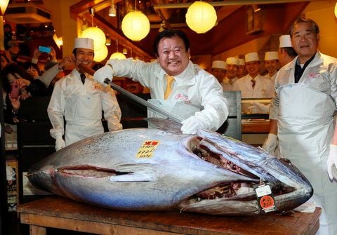 Der Blauflossenthunfisch wog 222 Kilogramm. (FOTO: DPA)