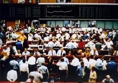 Kurse über Kurse: Wer im Dschungel des Finanzmarktes die Übersicht verloren hat, findet vielleicht in Fonds eine geeignete Anlageform. (Foto: dpa)