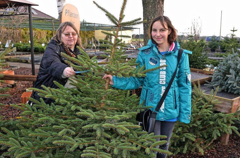 Beate Raue und Tochter Jenny aus Kakau suchen in der Baumschule Göricke ihren Baum aus. Bei der Vielfalt war das gar nicht so einfach.