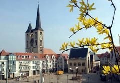 Blick auf den Marktplatz von Halberstadt mit Rathaus und Martinikrche, im Vordergrund blühende Forsythienzweige in einer Vase. Am kommenden Freitag (8. April 2005) jährt sich zum 60. Mal der Tag der Zerstörung von Halberstadt. (Foto: dpa)