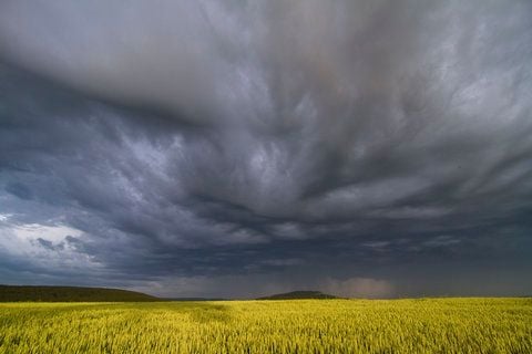 Ein Sturmtief über Sachsen-Anhalt hat für eine unruhige Nacht gesorgt.