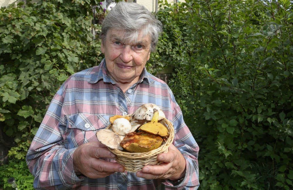 Pilzberaterin Ute Nothnagel aus Weißenfels warnt hier vor dem giftigen Doppelgänger des Champignons - dem Karbolegerling mit weißem Hut. Auch röhrlose gelbbraune Butterpilze sollten Sammler meiden.