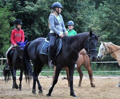 Gegen Langeweile in den Winterferien wird in der Region Bitterfeld-Wolfen ein buntes Programm geboten.